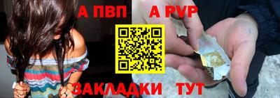 крисы Камышлов