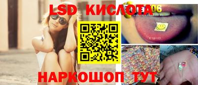 крисы Камышлов