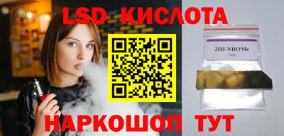 крисы Камышлов
