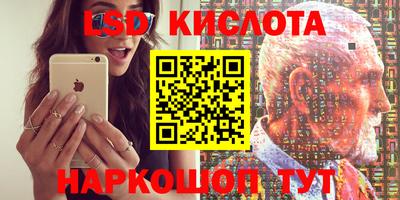 крисы Камышлов