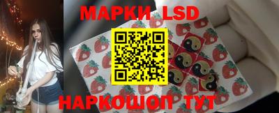 крисы Камышлов