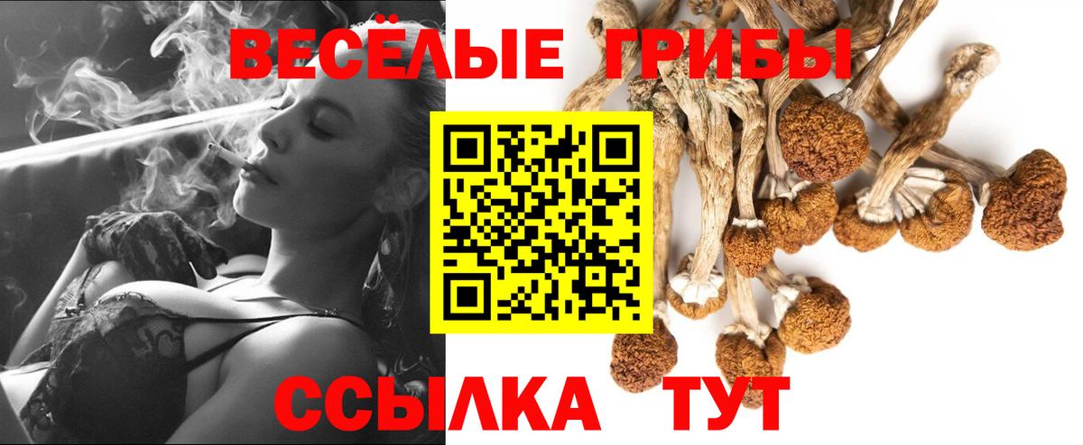 LSD-25 Энгельс