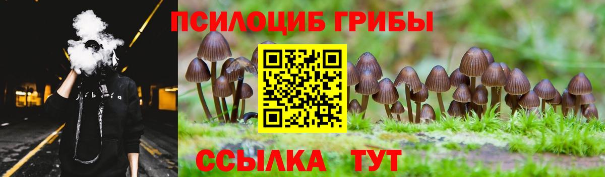 Энгельс  Псилоцибиновые грибы мицелий  Вход с VPN 